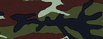 camouflage_web