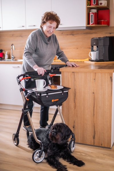 SMINA Rollator für Indoor