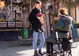 Beitragsbild Rollator/Smina
